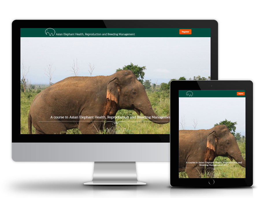 Asia Elephant Health screen