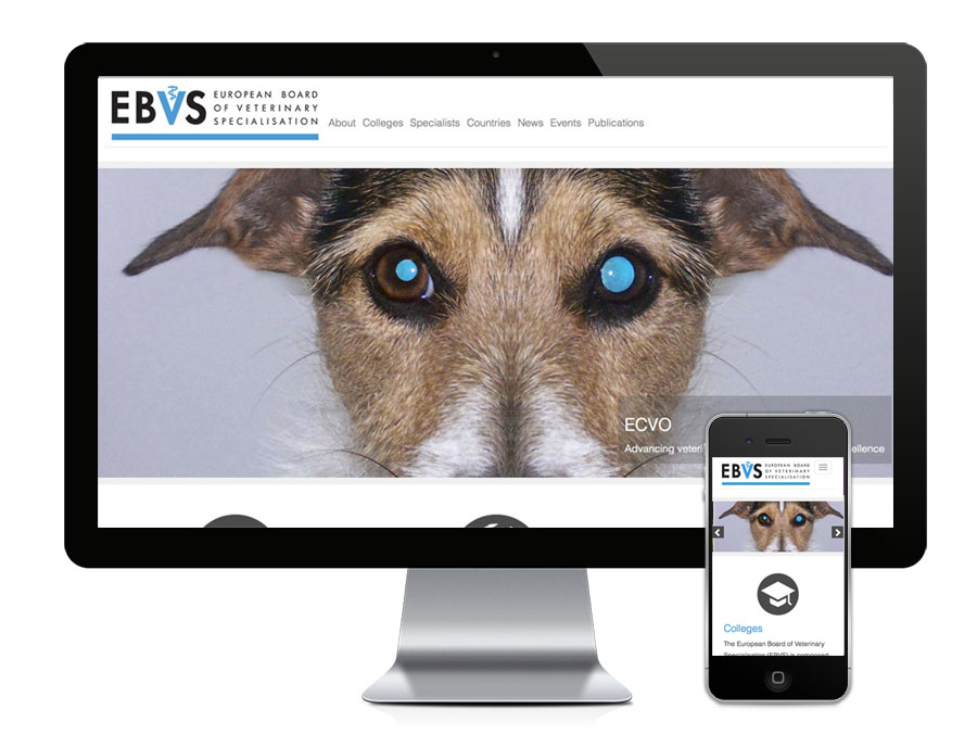 EBVS screenshot