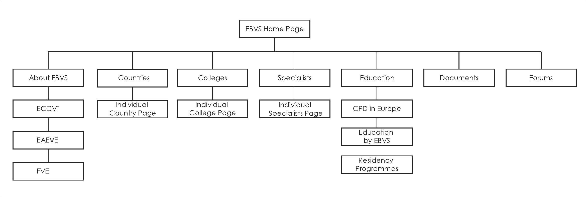 EBVS wireframe
